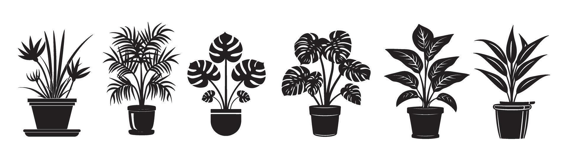 hand drawn Black and White Vintage Engraving of Potted Plants in Various Styles vector