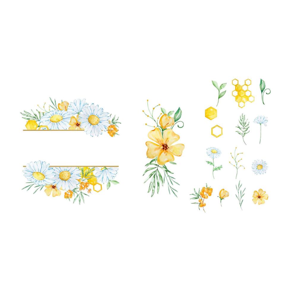 Watercolor floral frame with honeycomb, daisy and leaves vector