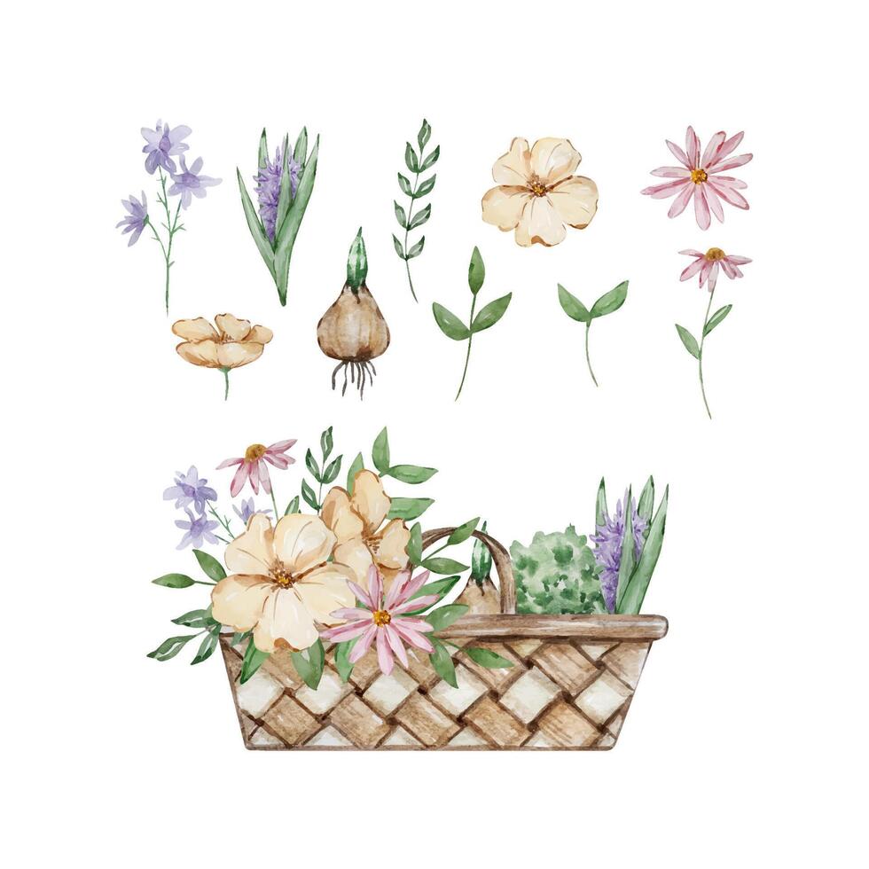 Watercolor basket with garden flowers vector