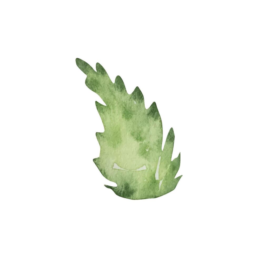 Green large leaf watercolor, floral vector