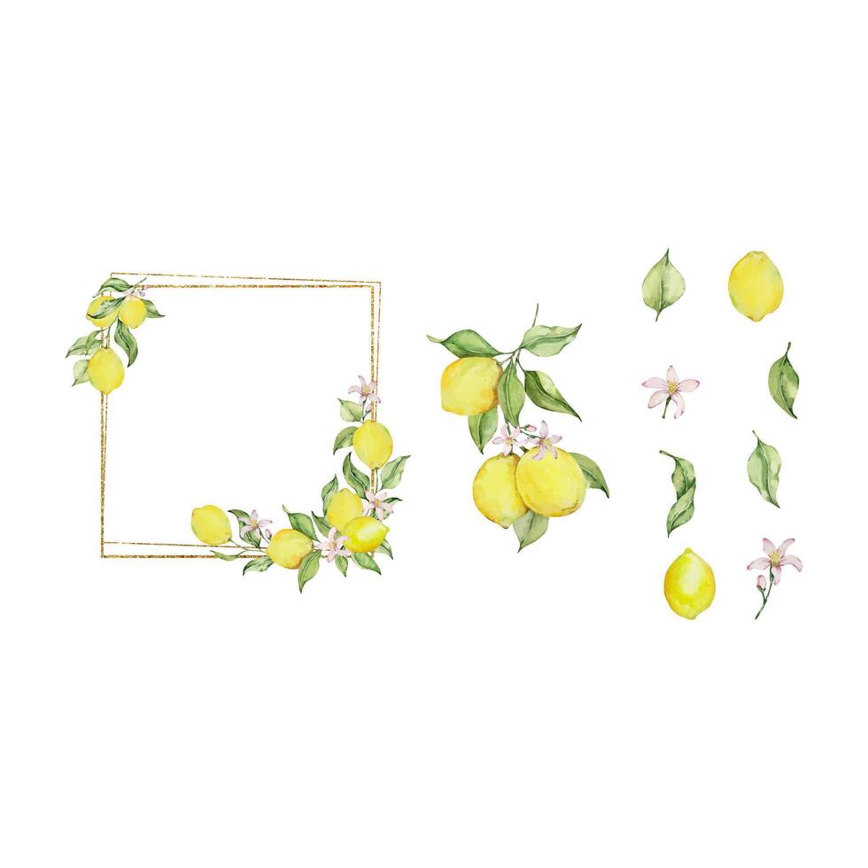 Gold frame with watercolor lemon, leaves and flowers set vector