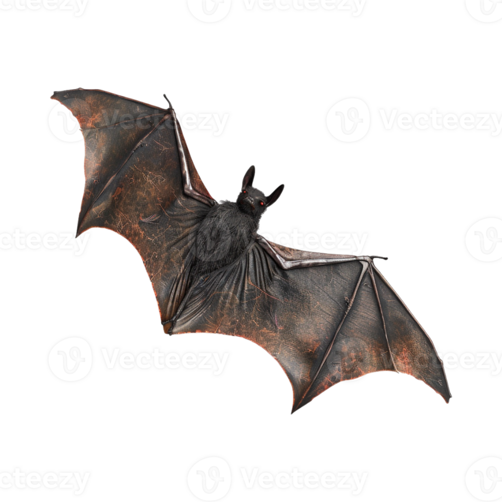 Halloween Flying Bat on Transparent Background png
