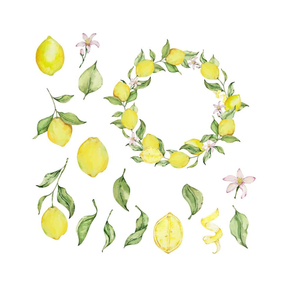 Watercolor lemon frame set with fruit, slice, leaves and flowers vector
