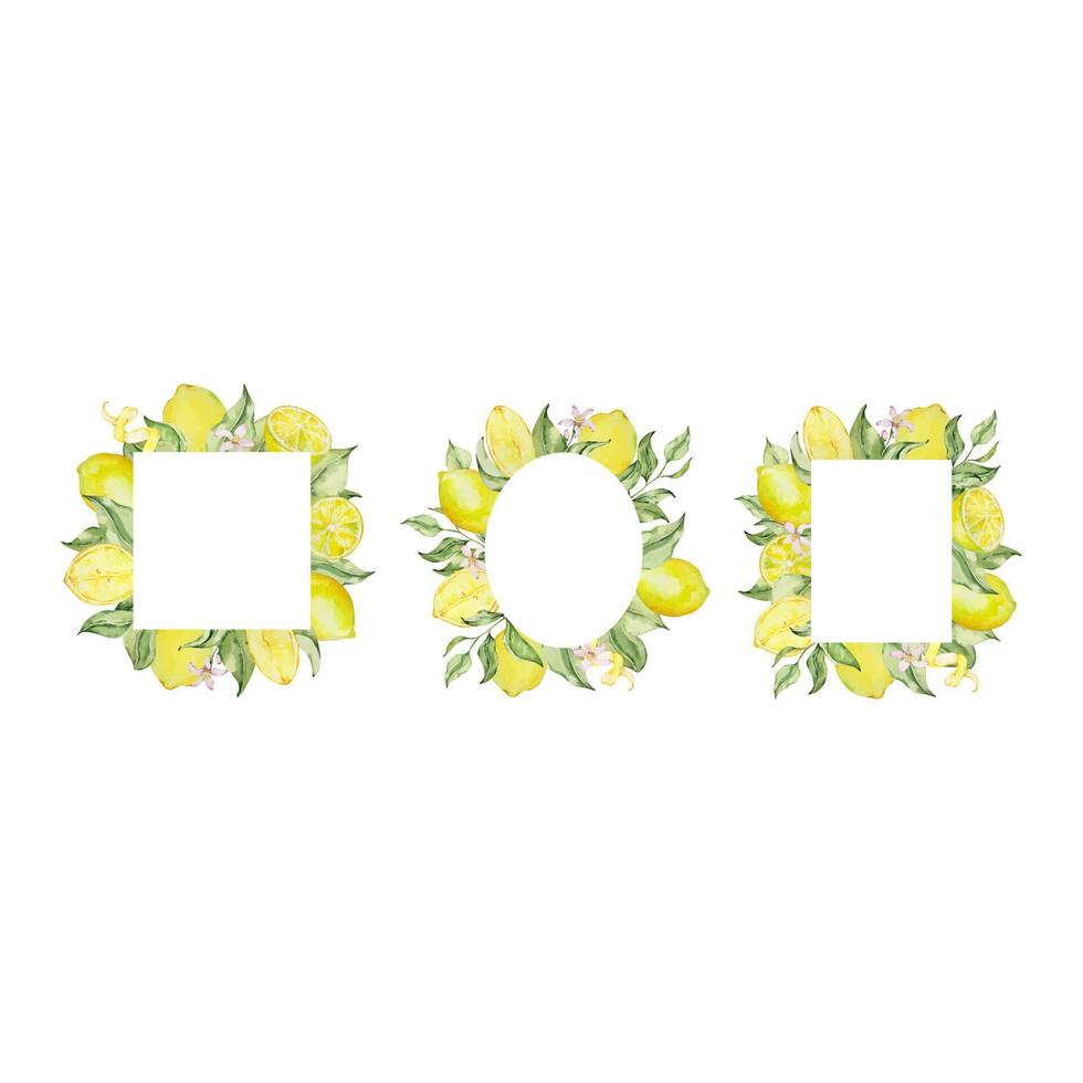 Watercolor lemon frame set with fruit, slice, leaves and flowers vector