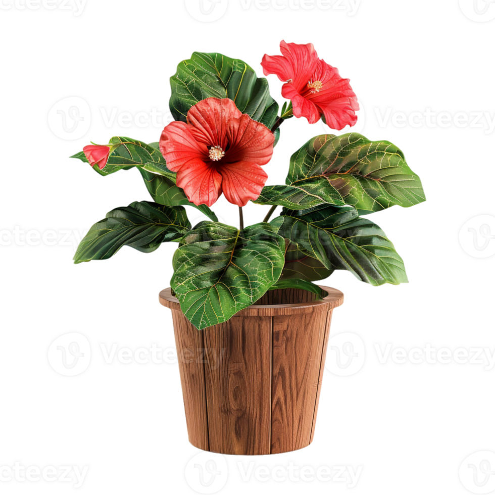 Colorful Flower in Pot on Transparent Background png
