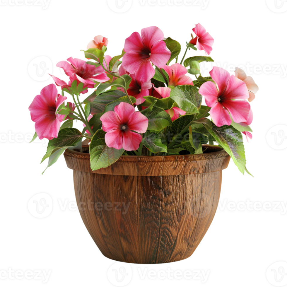 Colorful Flower in Pot on Transparent Background png