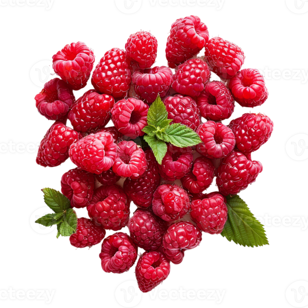 Love Heart made with Rasp Berries for Valentine Day on Transparent Background png