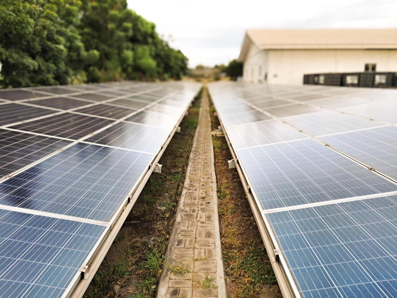 Solar panels installed function to convert solar energy into electrical energy photo