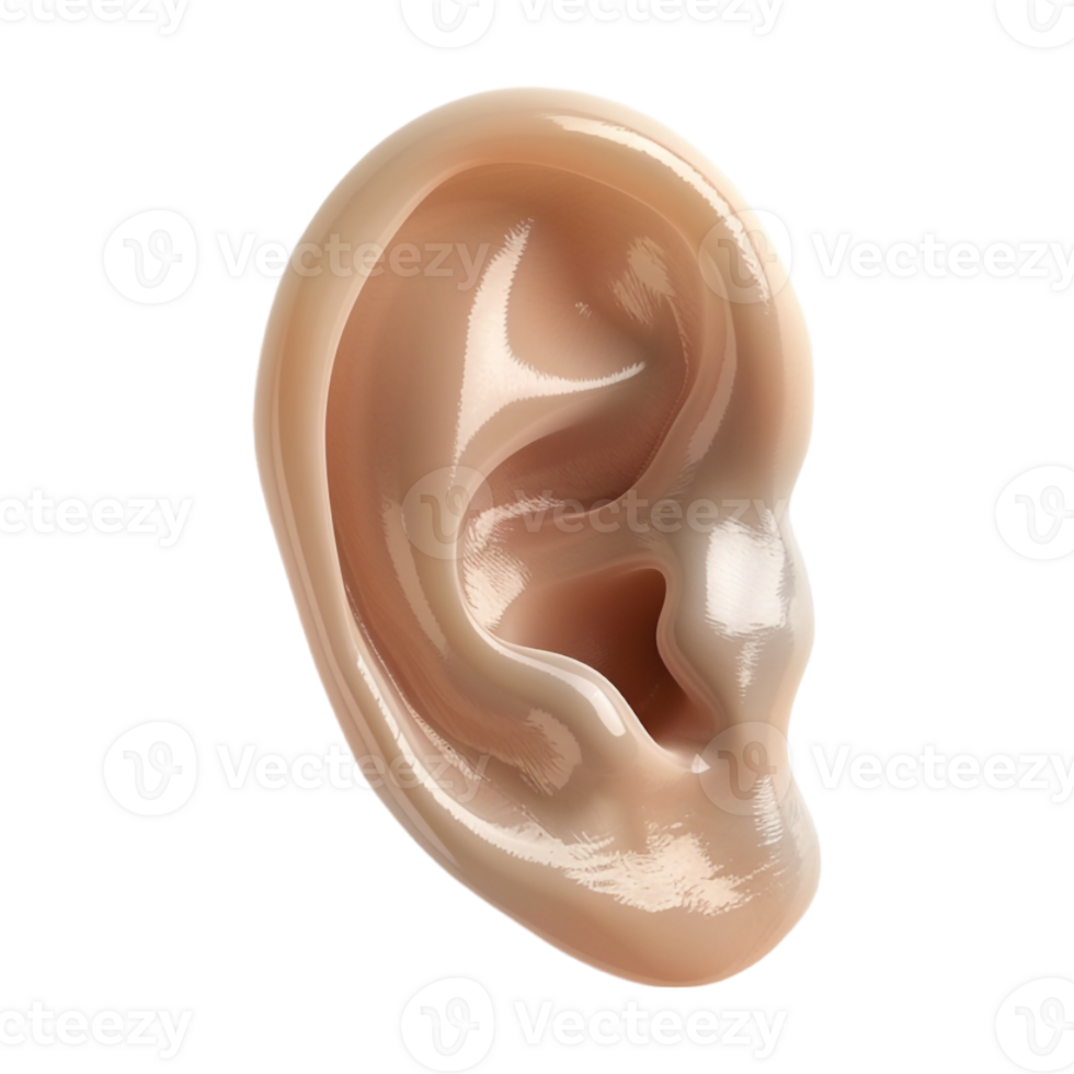 Human Ear on Transparent Background png