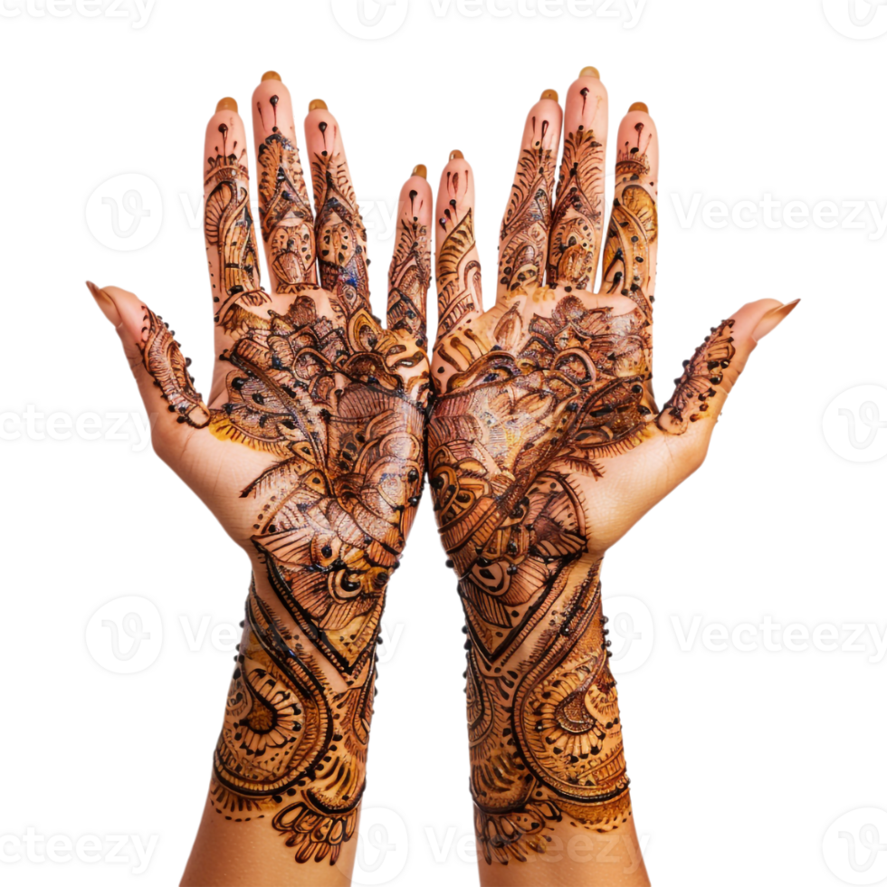 Indian Henna on Hand on Transparent Background png