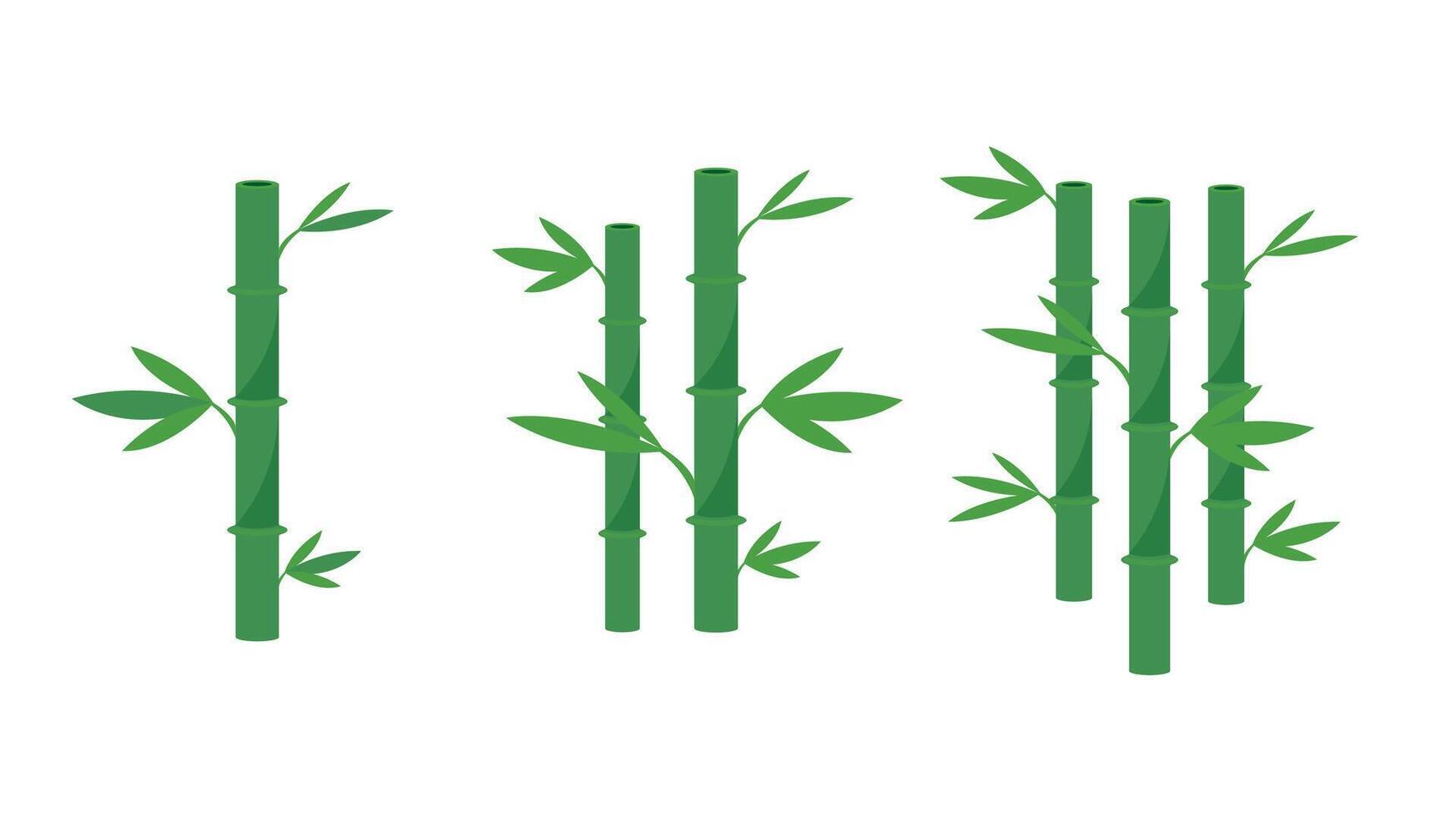 isolated bamboo on white background vector