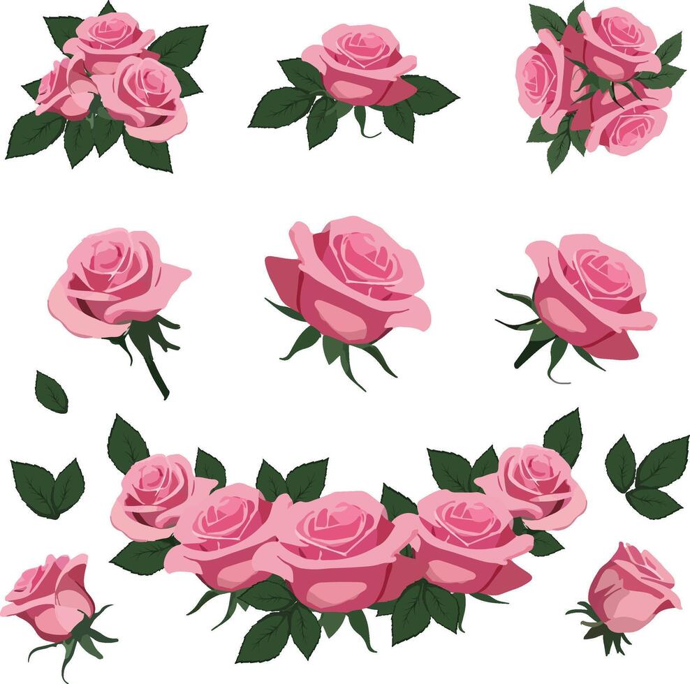 set elements of pink roses with green leaves vector