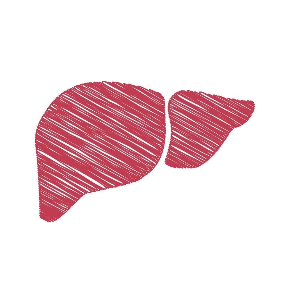 World hepatitis day liver sign sketch vector