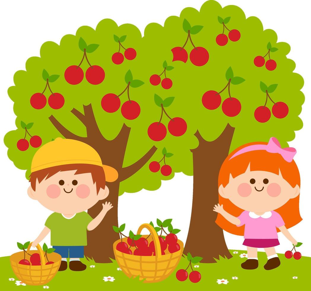 Children picking cherries under a cherry tree. Happy kids in the farm harvesting cherry fruits. vector