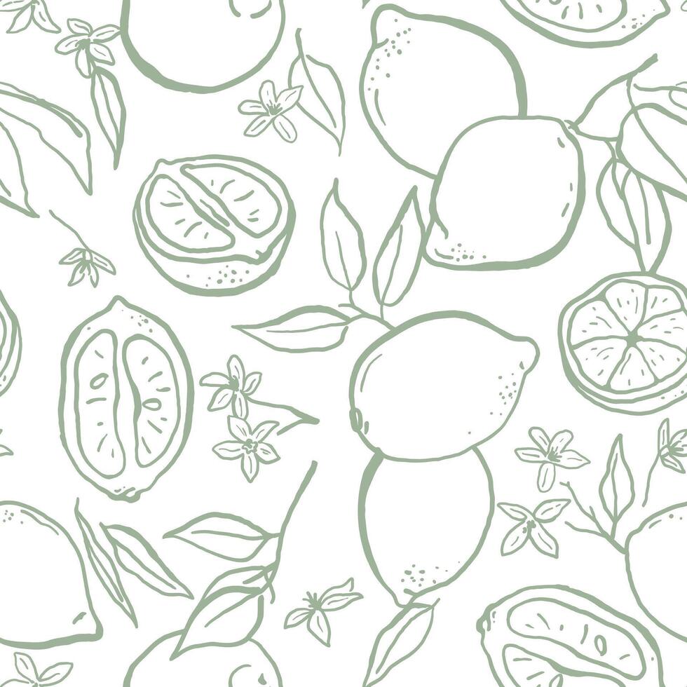 Hand drawn sketch style lemons seamless pattern. Tropical summer print for textile, packaging, wrapping paper vector