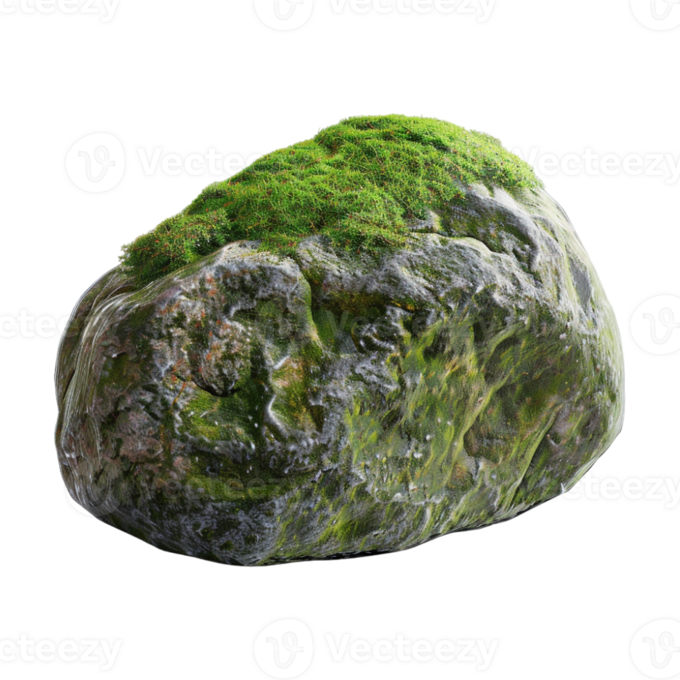 Tree Bark Moss Rock on Transparent Background png