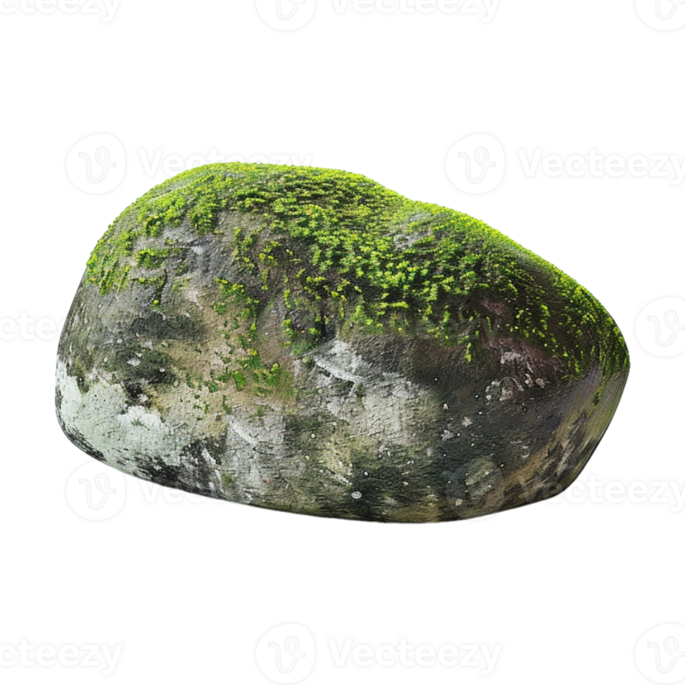 Tree Bark Moss Rock on Transparent Background png