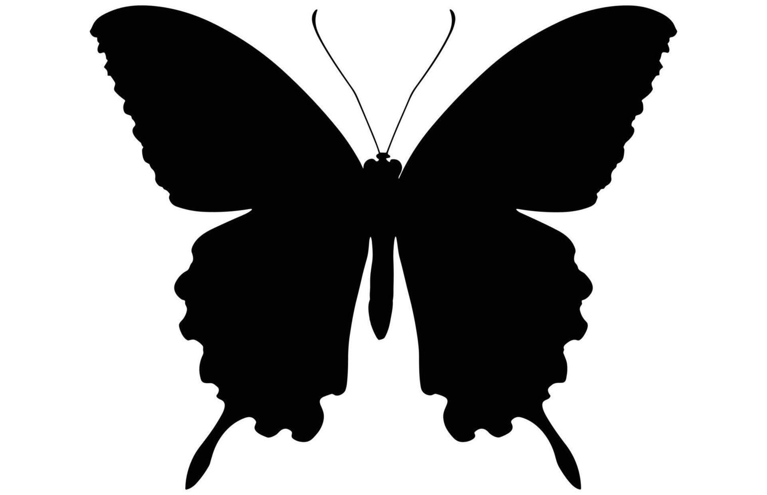 Butterfly Black Silhouette Isolated on White Background. vector