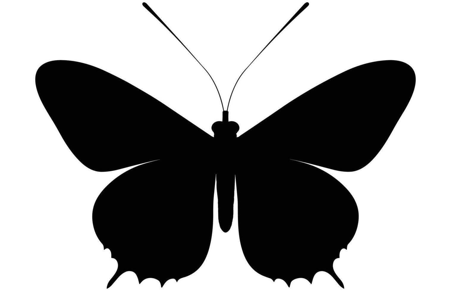 Butterfly Black Silhouette Isolated on White Background. vector