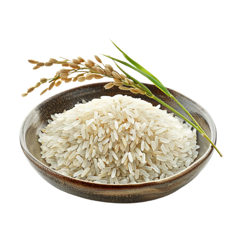 Rice in a Bowl on Transparent Background png