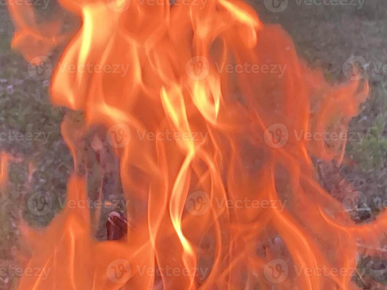 The flame of the fire burns from the wood photo