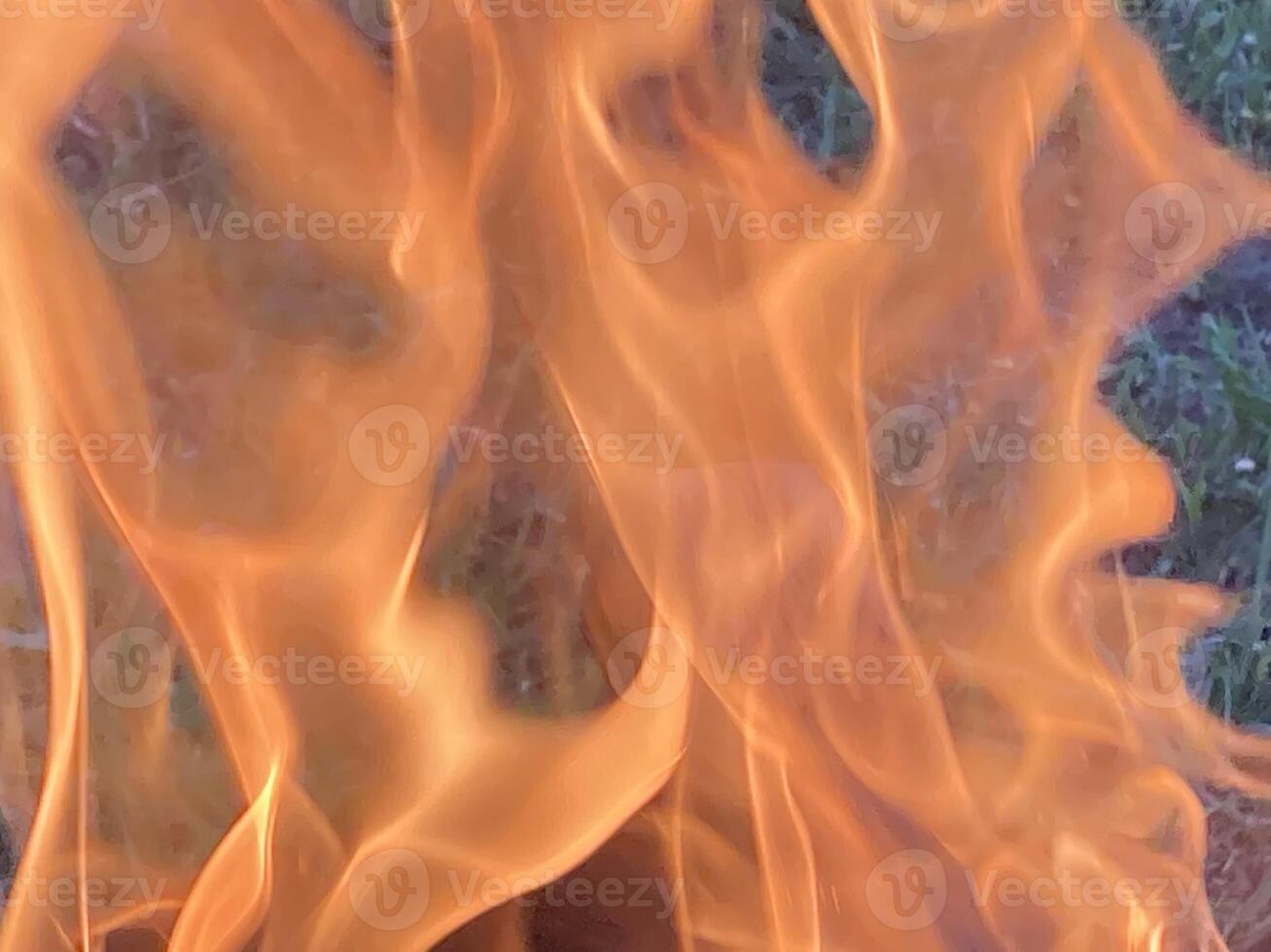 The flame of the fire burns from the wood photo