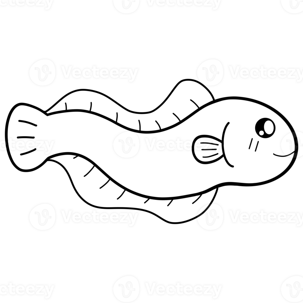 Sea animals Coloring and doodle png