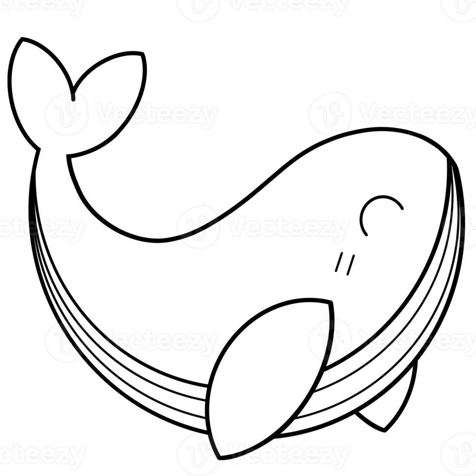 Sea animals Coloring and doodle png