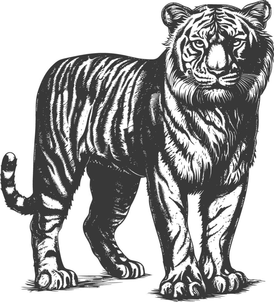 wildlife with engraving style black color only vector