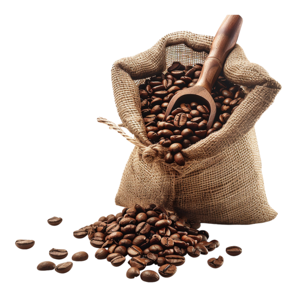 Coffee Beans in a Bag on Transparent Background png