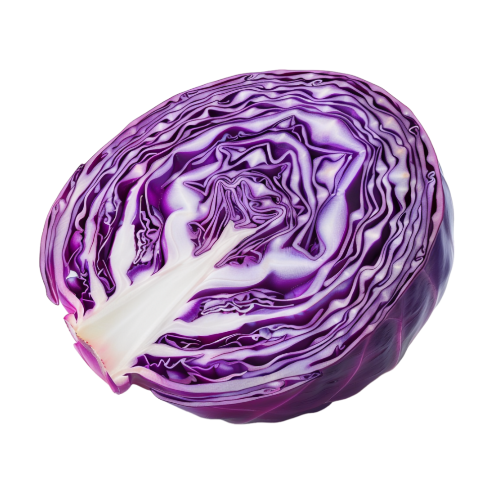 Purple Cabbage Slice on Transparent Background png