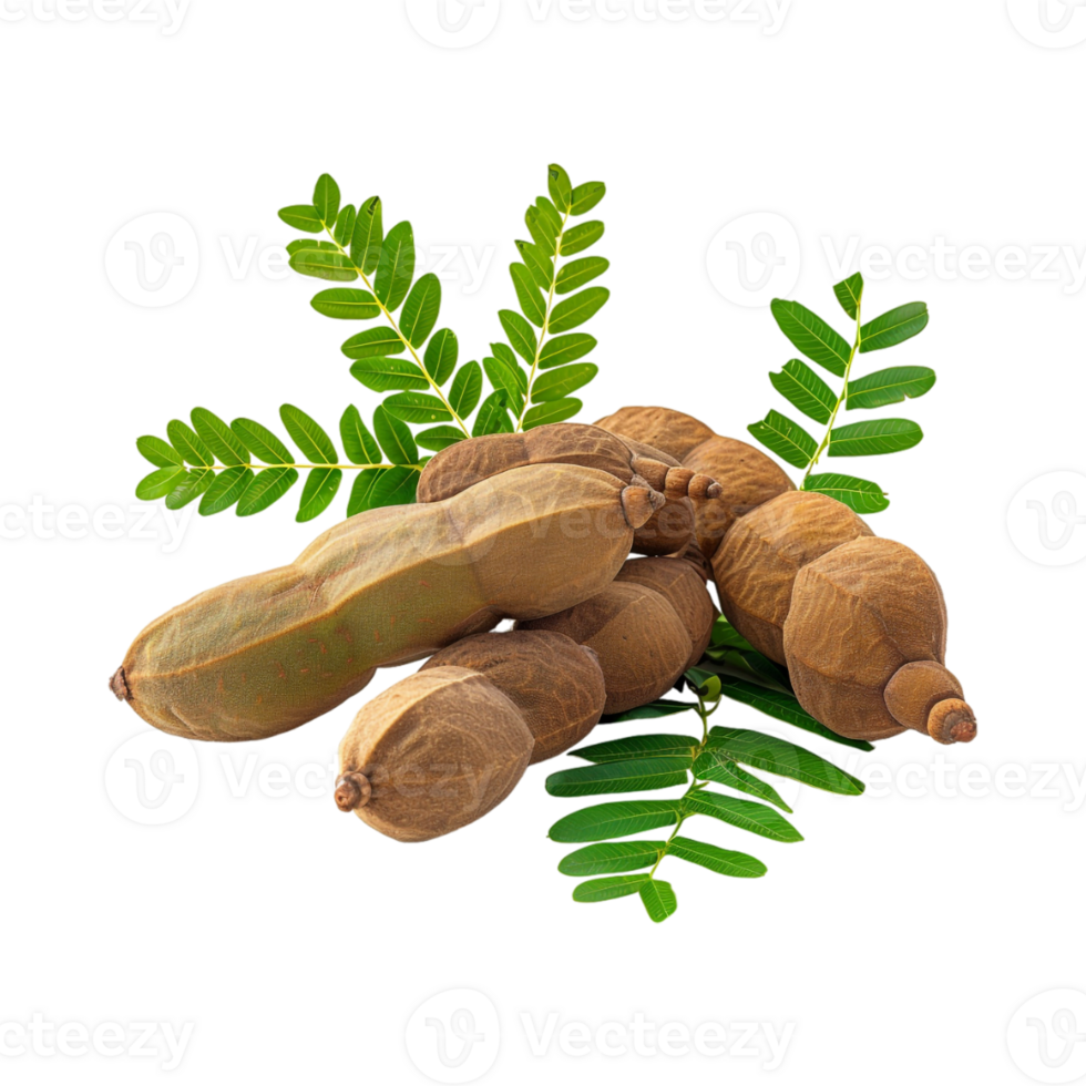 Tamarind Fruit on Transparent Background png