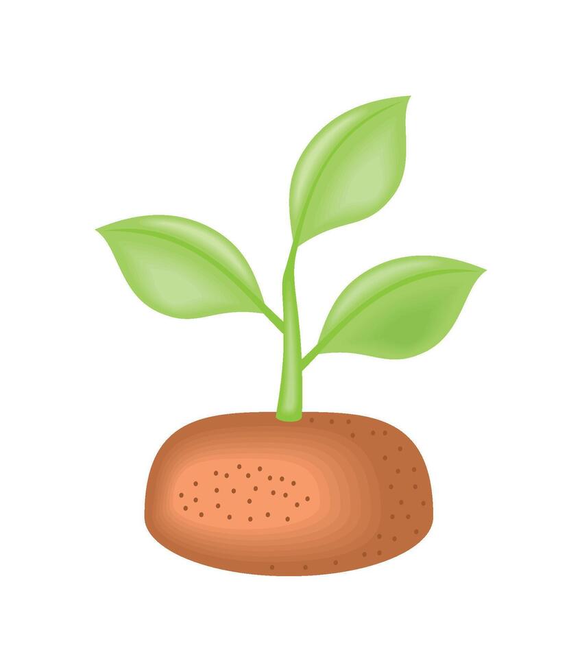 planting equipment sprout vector