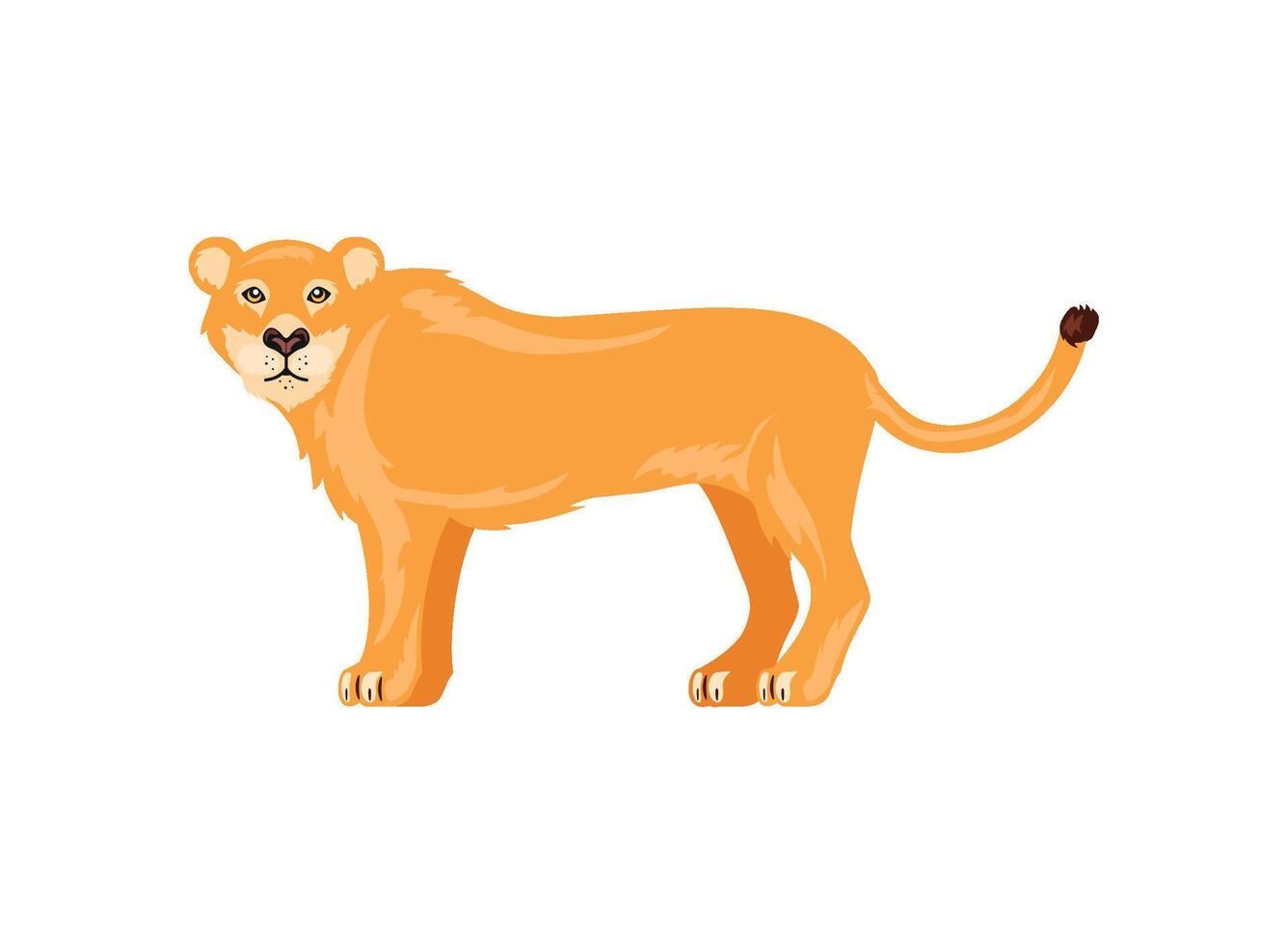 lion predator female vector