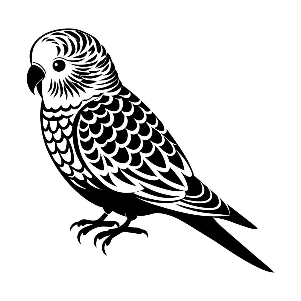 A Budgerigar Silhouette vector