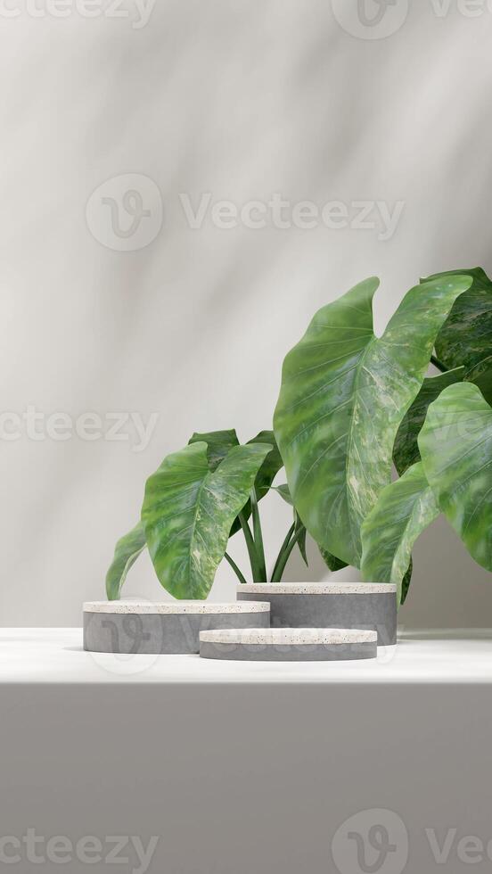 Terrazzo and concrete texture podium 3d rendering mockup in portrait with alocasia plant background photo