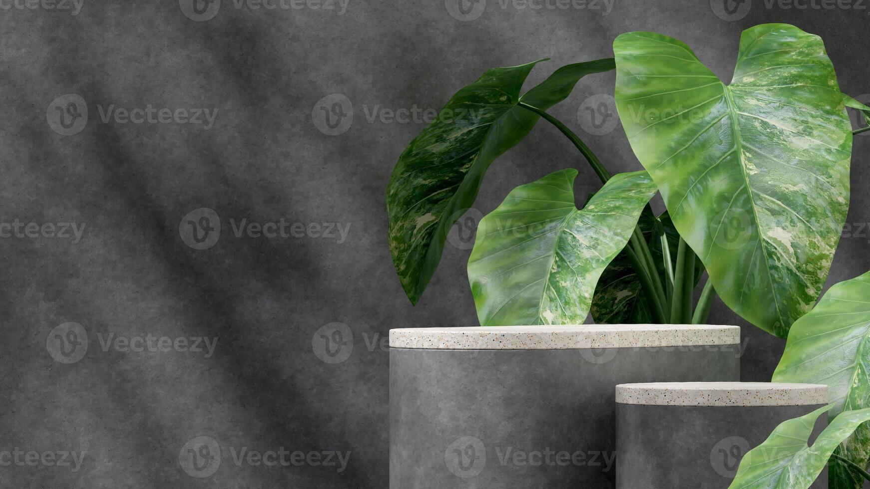 3d rendering mockup template of terrazzo and concrete podium in landscape with alocasia leaf photo
