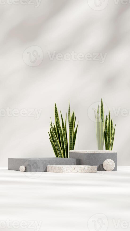 3d rendering mockup template terrazzo and concrete texture podium in portrait with snake plants photo