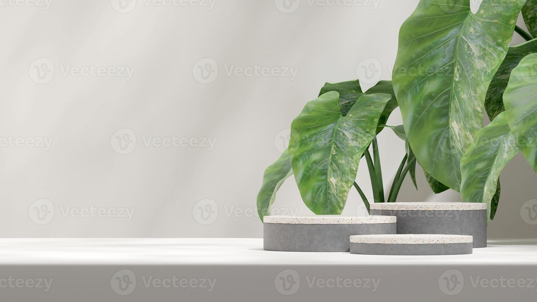 Terrazzo and concrete texture podium 3d rendering mockup in landscape with alocasia plant background photo