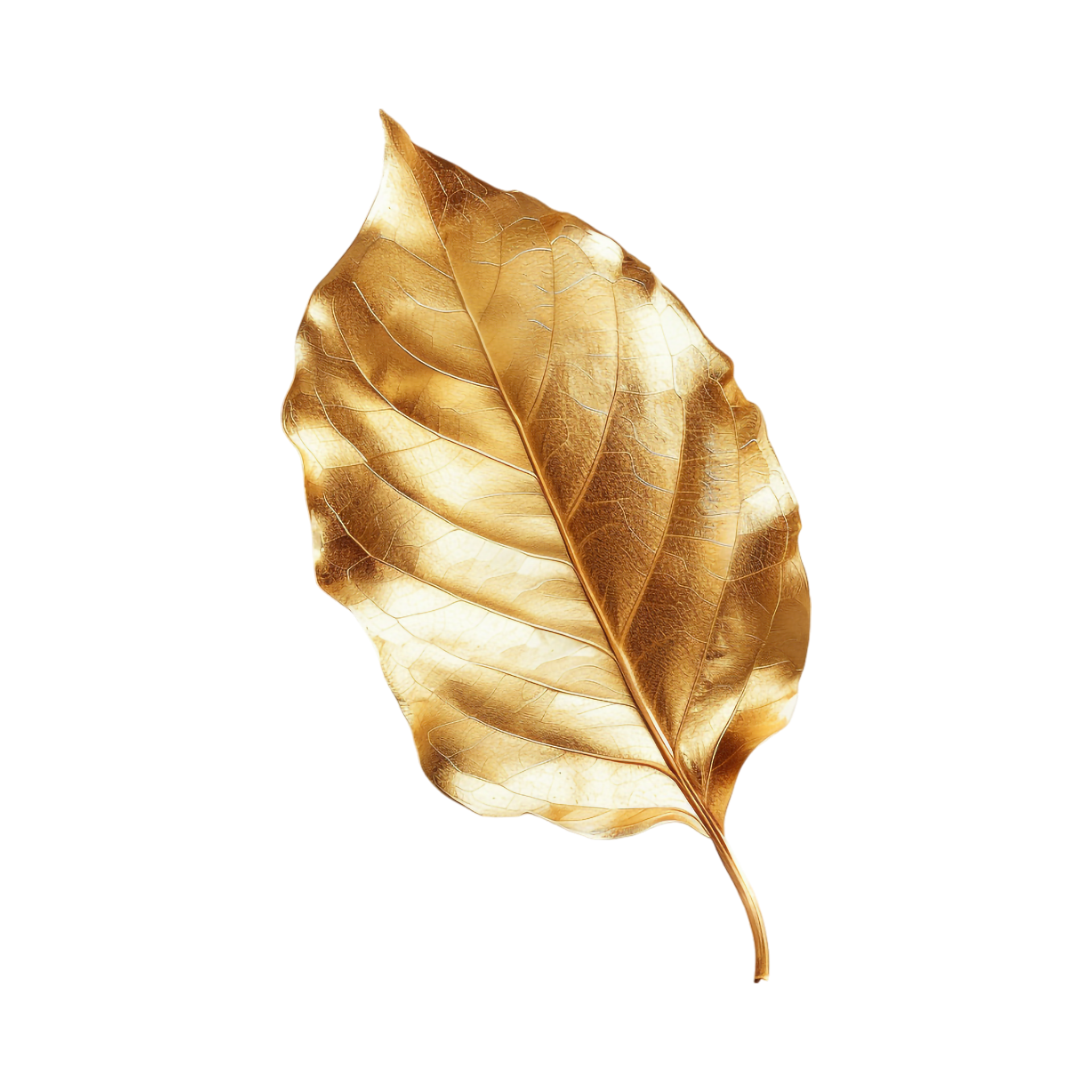 Gold Leaf on Transparent Background 47087112 PNG