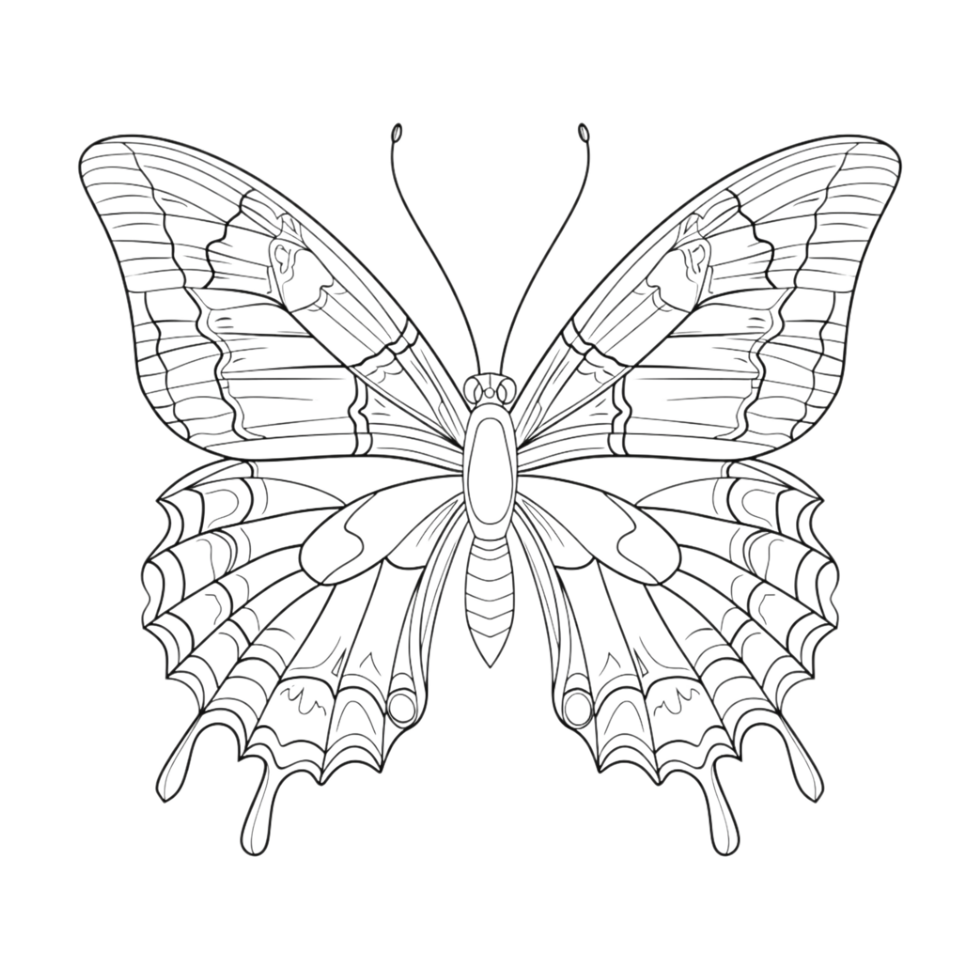 Butterfly Sketch Art on Transparent Background png