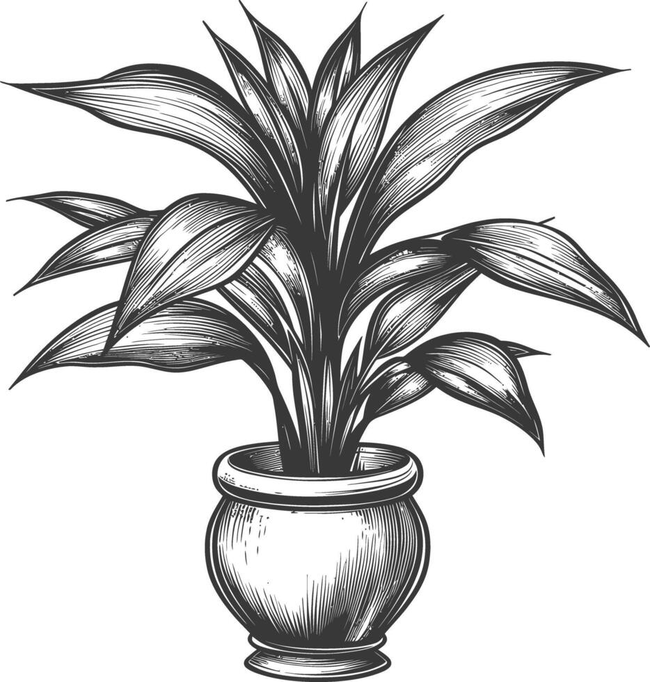 tropical plant in vase with engraving style vector