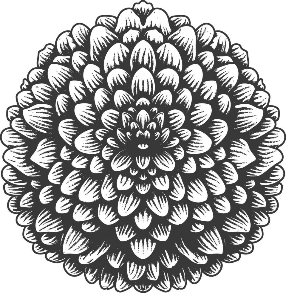 pom pom with engraving style vector
