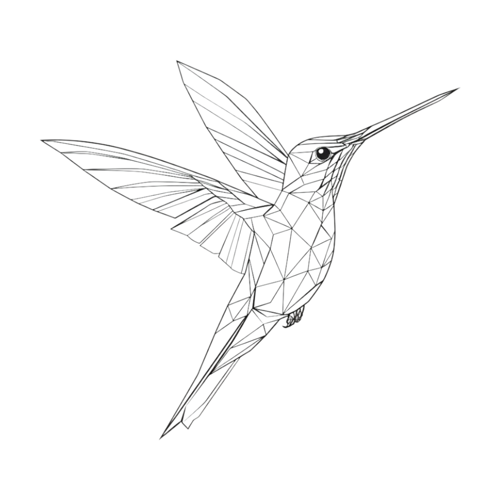 Humming Bird Sketch Art on Transparent Background png