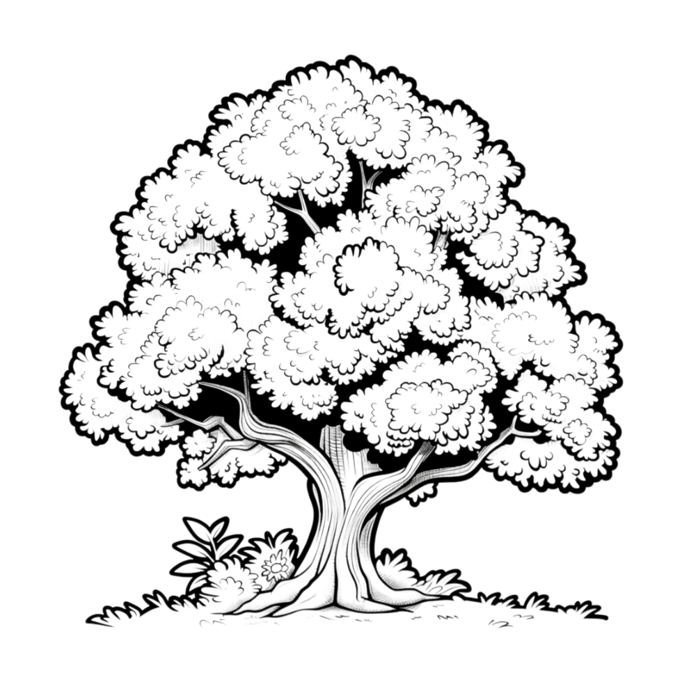 Tree Sketch Art on Transparent Background png
