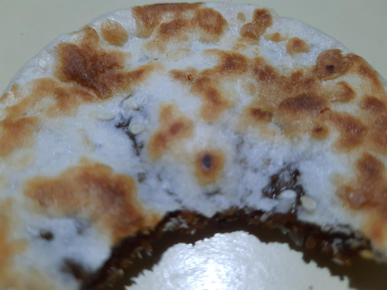 close up photo of a Piaya
