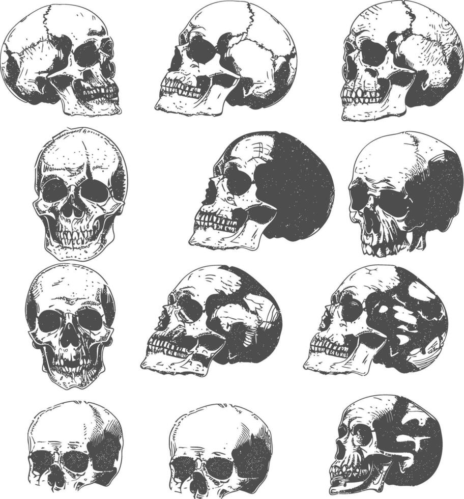 collection set hand drawn doodle cute skull with engraving style vector