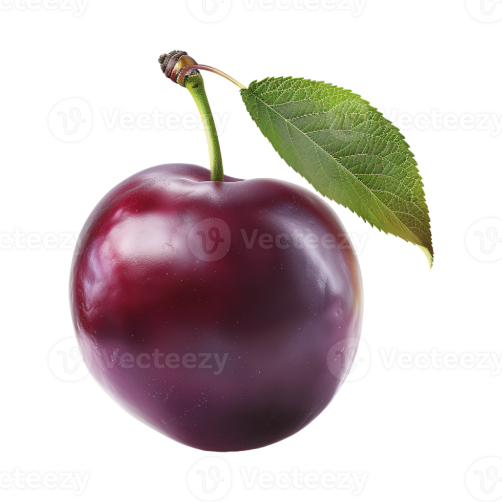Plum fruit with a leaf on Transparent Background png
