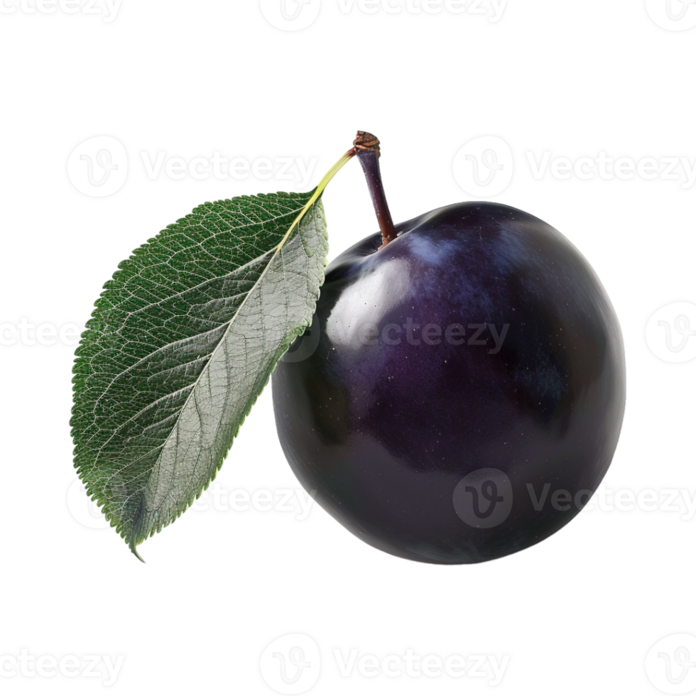 Plum fruit with a leaf on Transparent Background png