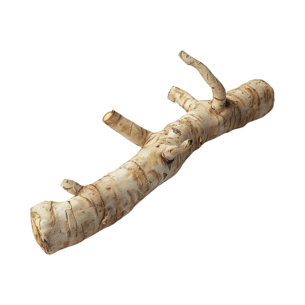 Ginger Stick on Transparent Background png